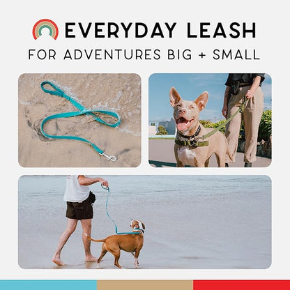 Wildebeest Funston Waterproof Dog Leash - Heavy Duty 4ft Long Leash for Small, Medium and Large Dogs - 1000D Nylon Scratch & Stink-Resistant & Pill-Free - Nylon Wrap Handle 3/4" Wide, 4 ft Length