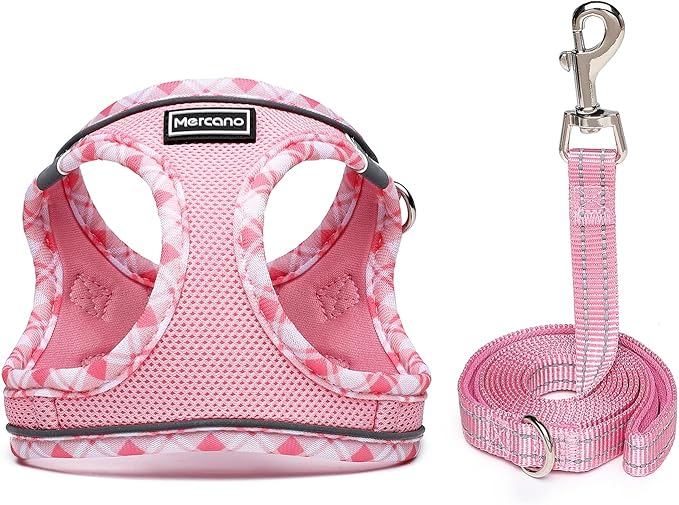 Mercano Soft Mesh Dog Harness and Leash Set, No-Chock Step-in Reflective Breathable Lightweight Easy Walk Vest Harnesses with Safety Buckle for Small Dogs, Cats (Pink, S)