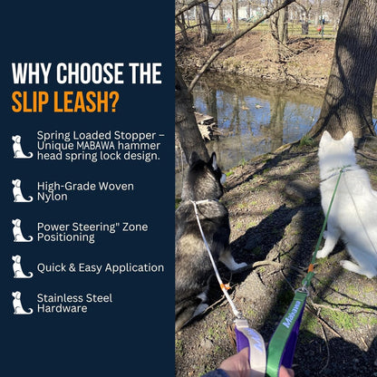 Dog Anti-Slip Leash 5FT with Metal Stopper - Durable No-Pull Training Lead for Small, Medium & Large Dogs - Comfortable Handle Nylon Rope, Tangle-Free Pet Walking Leash (Blue, 5.6FT)