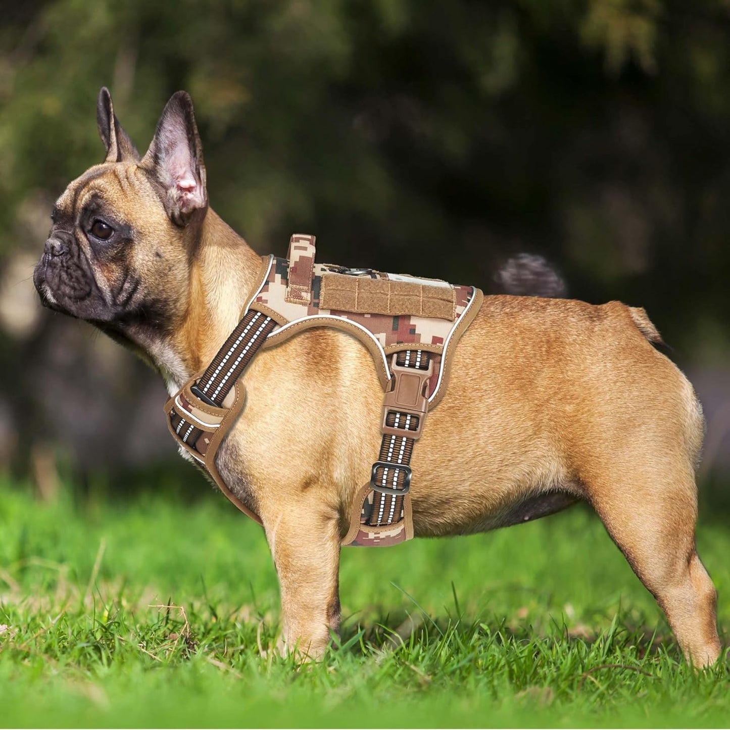 Heavy Duty Tactical Dog Harness for Medium Dogs, No Pull Adjustable Pet Harness Reflective Service Training Easy Control Pet Vest Military K9 Working Dog Harnesses- Medium, Desert Camo