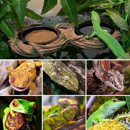 REPTI ZOO Dual Gecko Feeder Ledge, Reptile Hollow Vine Food Feeding for Bearded Dragon Lizard Snake Turtle, Reptile Water Feeding with 4 PCS Bowl, Reptile Dish Terrarium Tank Decor Accessories