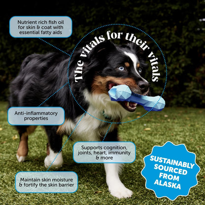 Pet Honesty Omega 3 Fish Oil Supplement for Dogs & Cats (32oz), Wild Caught Omega 3 Fish Oil for Skin and Coat Health, Supports Shedding, Skin & Coat, Immunity, Joint, Brain & Heart, EPA + DHA