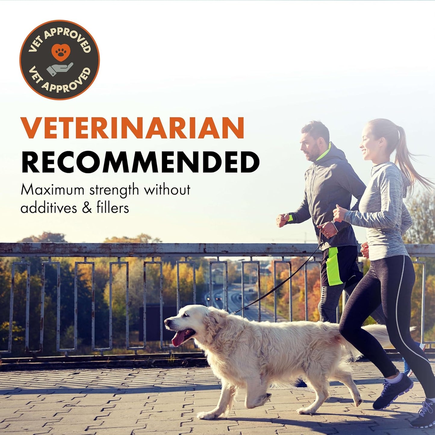 Free Range Joint Health Enhancer Supplement Powder for Dogs by Alpha Dog Nutrition - Premium Dog Arthritis Vitamins to Care for Joints - Contains Glucosamine, Chondroitin, MSM, Vitamin E, & More