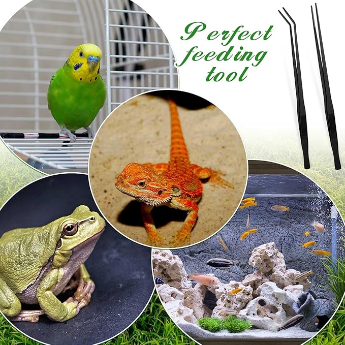 Lasnten 2 Pcs Extra Long Stainless Steel Reptile Feeding Tongs with Rubber Tip Bearded Dragon Aquarium Straight and Curved Long Tweezer Terrarium Feeder Tool for Tank (18.5 Inch, 18.9 Inch,Black)