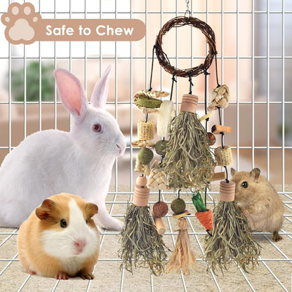 Bissap Bunny Chew Toy, Rabbits Cage Hanging Timothy Hay Chew Toys and Treats Rattan Ring with Snacks for Guinea Pigs Chinchillas Hamsters Rats and Other Small Pets Teeth Grinding
