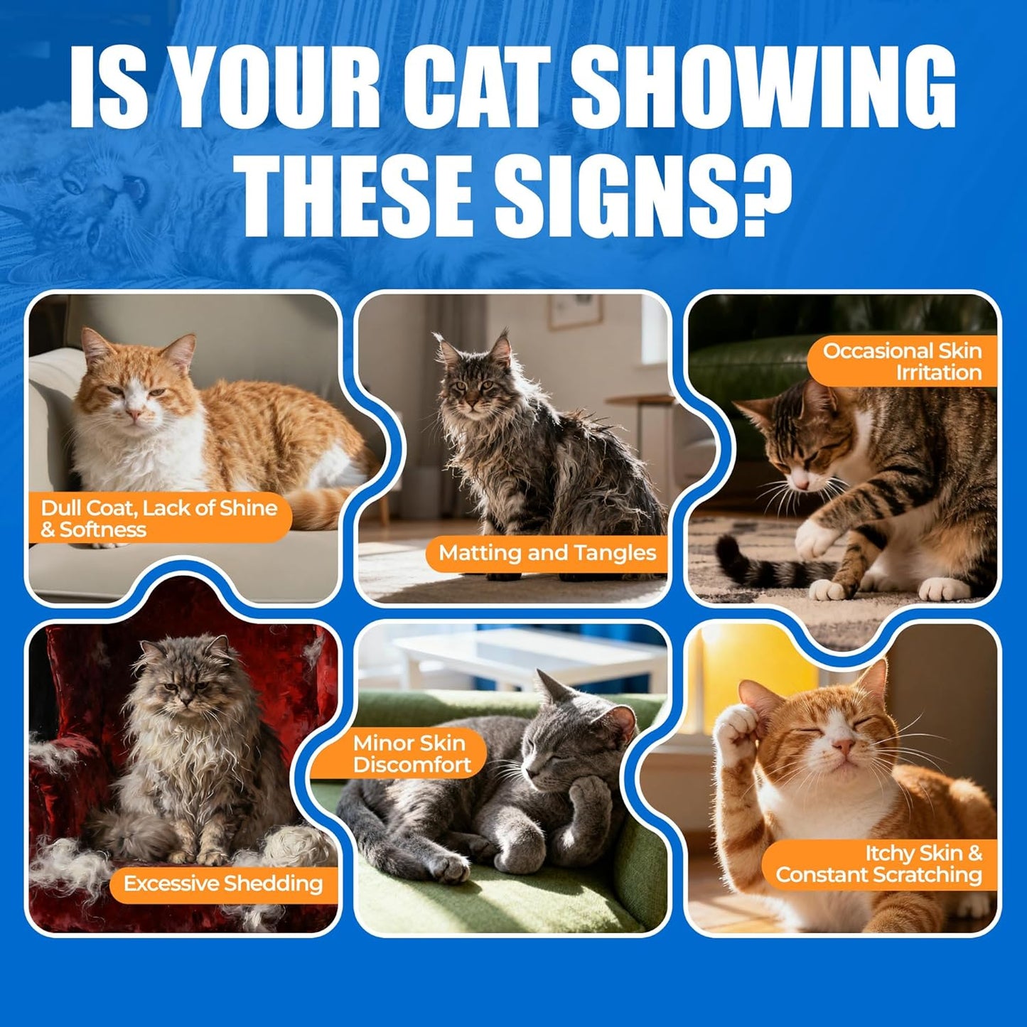 Just Try 300 Bites Skin and Coat Bites Omega 3 for Cats Salmon Oil - Supports Healthy Skin, cat Itchy Skin Relief - Health Supplements Vitamins for Indoor Cats - 6.35 oz