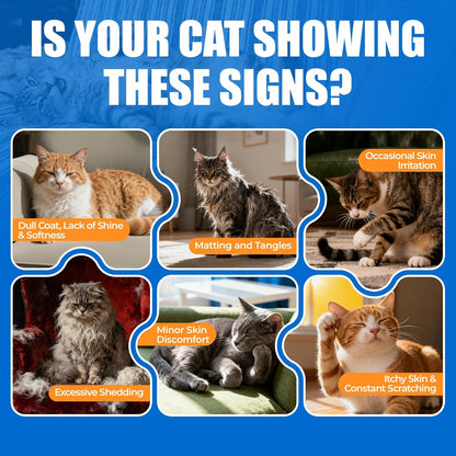 Just Try 300 Bites Skin and Coat Bites Omega 3 for Cats Salmon Oil - Supports Healthy Skin, cat Itchy Skin Relief - Health Supplements Vitamins for Indoor Cats - 6.35 oz