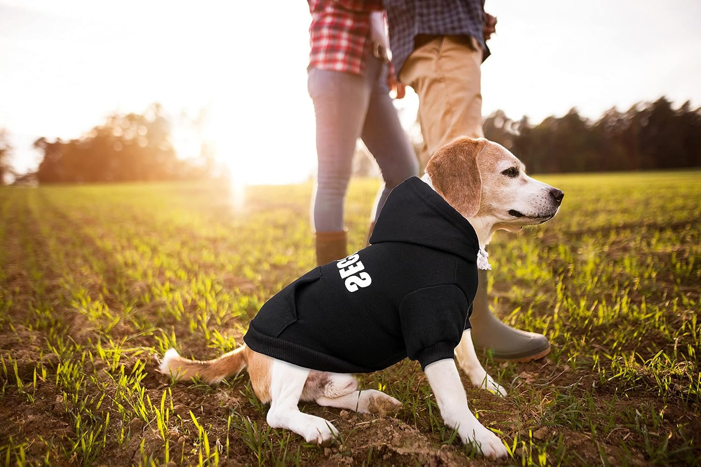 Dog Hoodie Security Dog Sweater Soft Brushed Fleece Clothes Hoodie Sweatshirt with Pocket Sweaters for Medium Dogs(M)