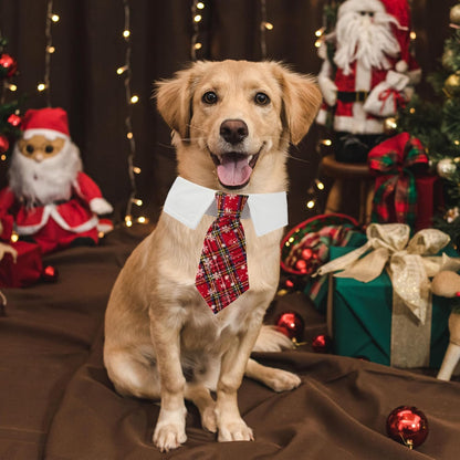 ADOGGYGO Christmas Dog Necktie Pet Tuxedo Christmas Dog Neck Tie Collar with Red Plaid Tie for Small Medium Large Dogs Pets (Large, Red)