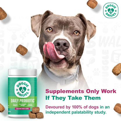 Doggie Dailies Probiotics for Dogs - Advanced Dog Probiotics with Prebiotics - Promotes Digestive Health - Supports Immune System and Overall Health (Duck) 225 Soft Chews
