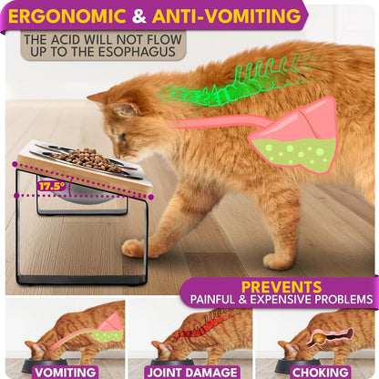 Raised cat Bowls for Indoor Cats by WinTruffles, Elevated cat Bowls, Tilted and Elevated Anti Vomiting Cat Dishes for Food and Water, Set of 2 Stainless Steel Bowl