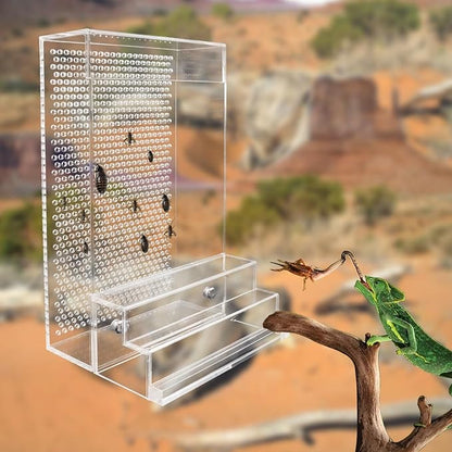 Bearded Dragon Feeder, Chameleon Bug Bowl Kit with Steps, Transparent Acrylic Reptile Large Insect Box, Tank & Aquarium Accessories for Reptile Lizard Gecko Frog - 8.2 × 4.3 × 4.7 Inch