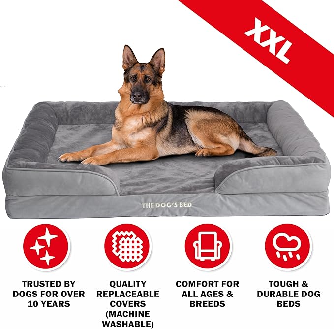 The Dog’s Bed, Orthopedic Standard Foam Waterproof Dog Bed with Standard Support, XXL Silver Grey Plush, Waterproof, Supportive Dog Bed with Replaceable Covers