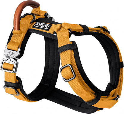 MADE TO ROAM Premium Explorer Harness - Y-Shaped Dog Harness with Adjustable Durable Nylon, Soft Padding, Metal Buckles and Leather Handle for Small, Medium, Large Dogs (Michigan Autumn, Size 1)