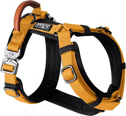 MADE TO ROAM Premium Explorer Harness - Y-Shaped Dog Harness with Adjustable Durable Nylon, Soft Padding, Metal Buckles and Leather Handle for Small, Medium, Large Dogs (Michigan Autumn, Size 5)