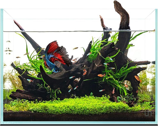 UNS Ultra Clear Rimless Tank - 11.9GAL | 45.3L - 17.71x11.02x14.17 | 45x28x36 CM, 5mm Glass Thickness, Leveling Mat Included - Low Iron, High Clarity Fish Tank w/ 45° Mitered Edge - [45T]