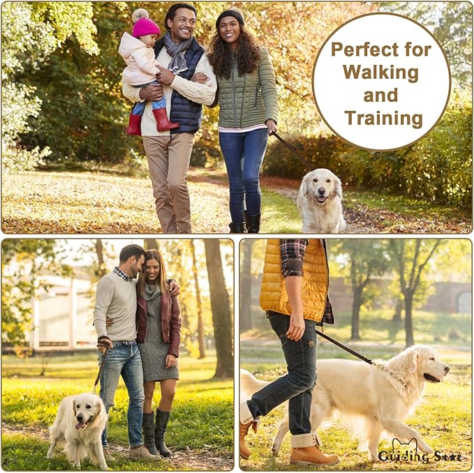 Guiding Star Leather Dog Leash 6ft, Dog Leashes for Large Dogs Heavy Duty, Soft Braided Handmade Leather Training Leash for Large & Medium Dogs (6ftx1inch, Brown)