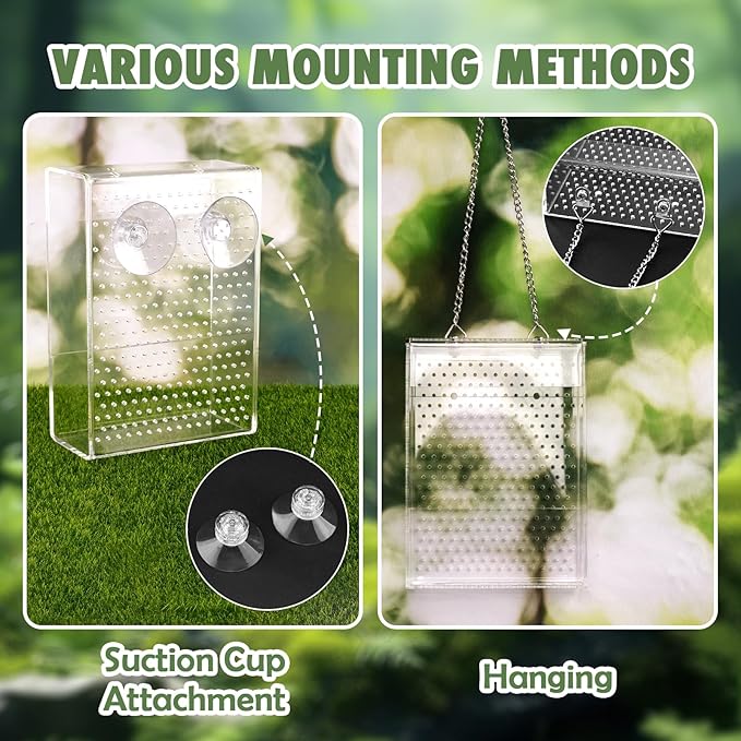 Chameleon Feeder Box with Suction Cups, Acrylic Feeding Bowl for Bearded Dragon, Wall-Mounted Insect Feeder for Lizard, Iguana, Gecko, Frog