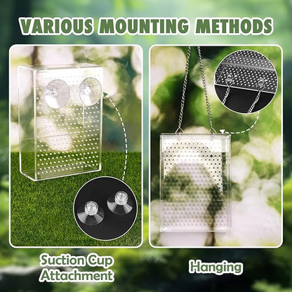 Chameleon Feeder Box with Suction Cups, Acrylic Feeding Bowl for Bearded Dragon, Wall-Mounted Insect Feeder for Lizard, Iguana, Gecko, Frog