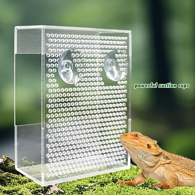Transparent Acrylic Reptile Feeder Box, Wall-Mounted Insect Feeder with Suction Cups, Tank and Aquarium Accessories for Bearded Dragon, Lizard, Gecko, Frog
