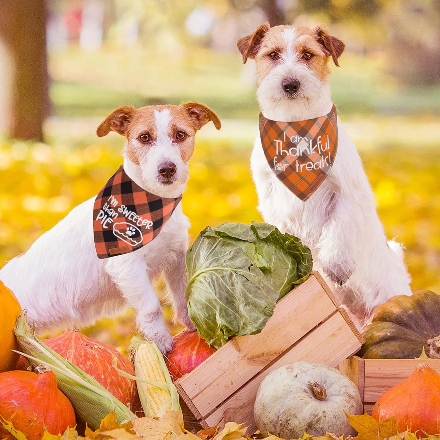 ADOGGYGO Thanksgiving Dog Bandanas, Orange Plaid Pet Scarf, Premium Cotton Fabric, Multiple Sizes Offered, Fall Thanksgiving Bandanas for Medium Large Dogs Pets (Large)