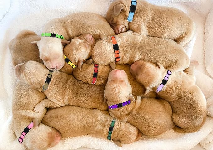 20 Pack Puppy Collars,Puppy Collars for Small Puppies Litter Safety Buckle Soft Nylon Whelping Collars Newborn Puppy Collars for Litter Puppies Collars(S)