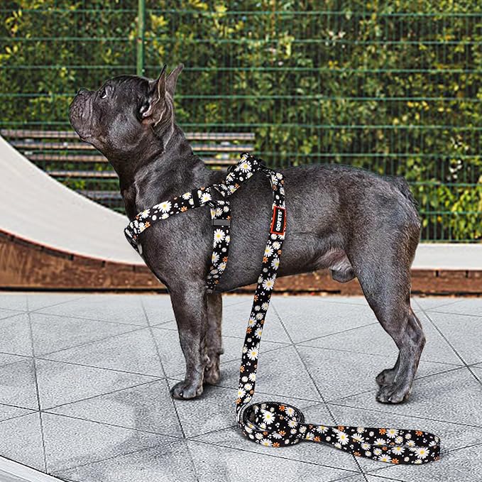 QQPETS Dog Harness Leash Set Adjustable Heavy Duty No Pull Halter Harnesses for Small Medium Large Breed Dogs Back Clip Anti-Twist Perfect for Walking (L(23"-32" Chest Girth), White Daisy)