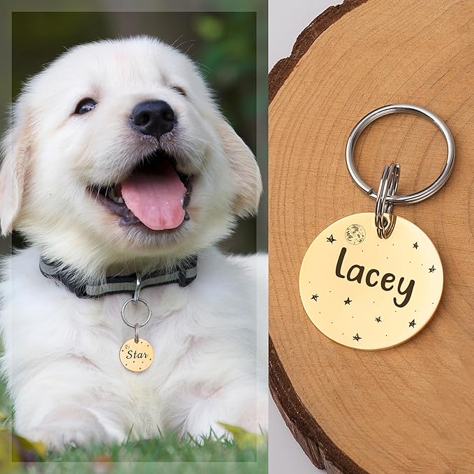 Anavia Small Size Dog Cat ID Tags, Small/XS Personalized Color Plated Stainless Steel Puppy Kitten Name Tags, Customized Engraved Nameplate Pet Collar Tag (Gold, Round)