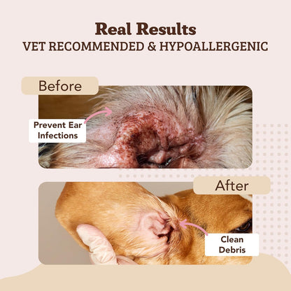 Natural Dog Ear Wipes (50 Ct) Essential Oil Infused Hygenic Dog Ear Cleanser for Dogs, Reduces Odor, Soothing Calendula, Aloe Vera, Witch Hazel, Dog Ear Itch Relief, Vegan