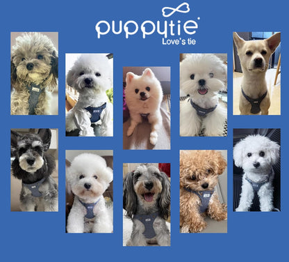 Puppytie No Pull xs Dog Harness with Multifunction Dog Leash,Soft Adjustable No Choke Escape Proof Pet Harness Vest,Denim Light Blue,XXS