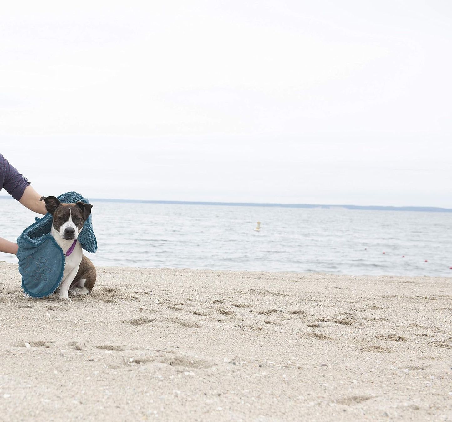 Dog Gone Smart The Dirty Dog Shammy - Fast Drying Plush Shammy Towel with Dual Hand Pockets and Elastic - Super Absorbent Microfiber and Machine Washable - Pacific Blue