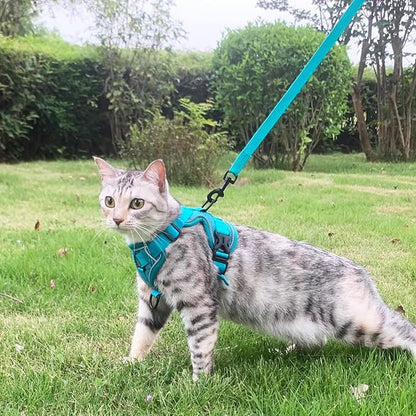 Cat Harness and Leash Set Escape Proof Tactical Extra Large Kitten Harness Emotional Support Cat Vest, Turquoise, XXL