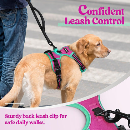 rabbitgoo Dog Harness No Pull with 2 Leash Clips, Adjustable Soft Padded, Reflective Oxford No Choke Pet Vest with Easy Control Handle for Large Dogs, Hot Pink & Turquoise, XL