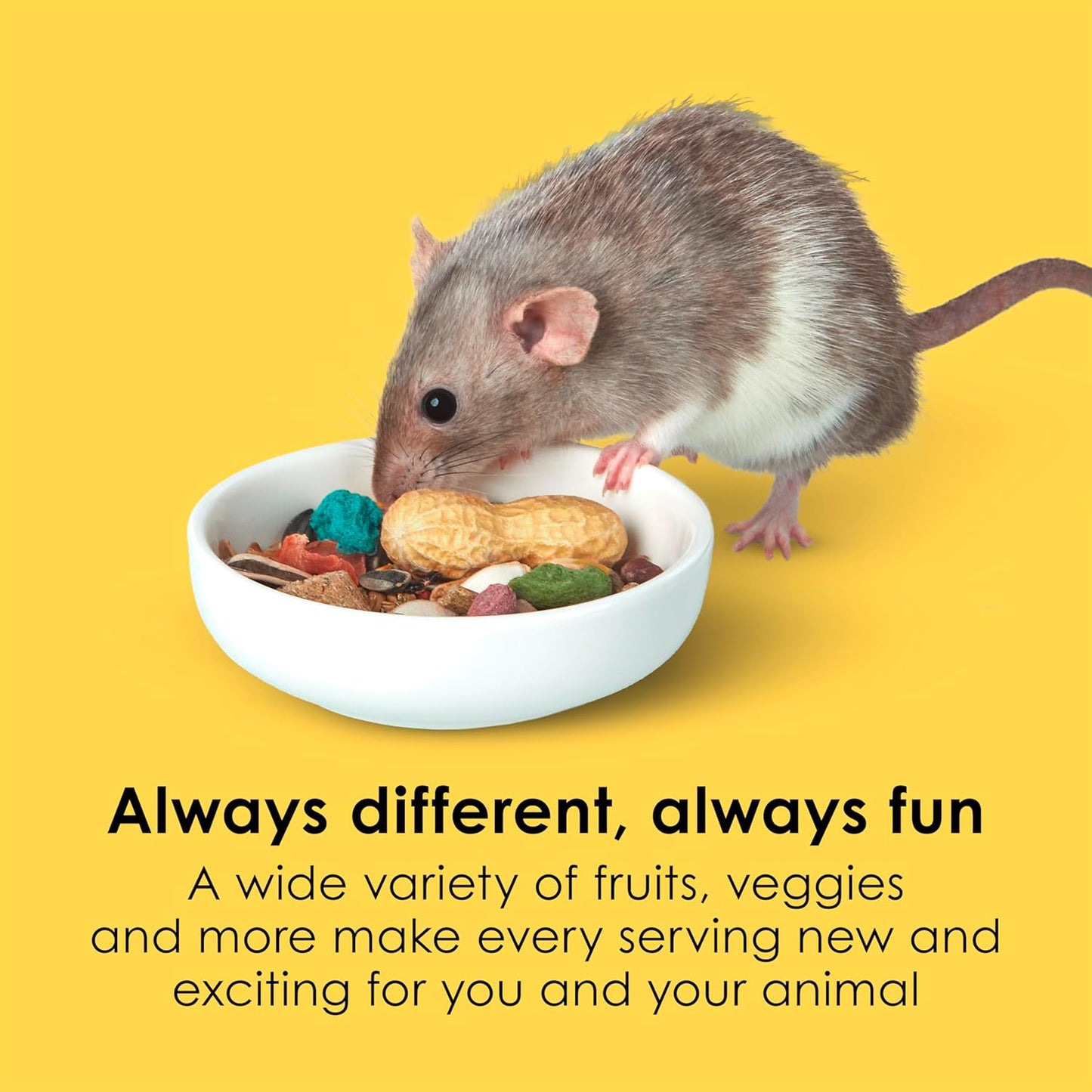 Kaytee Fiesta Mouse & Rat Food Flavor Medley 15 Pounds