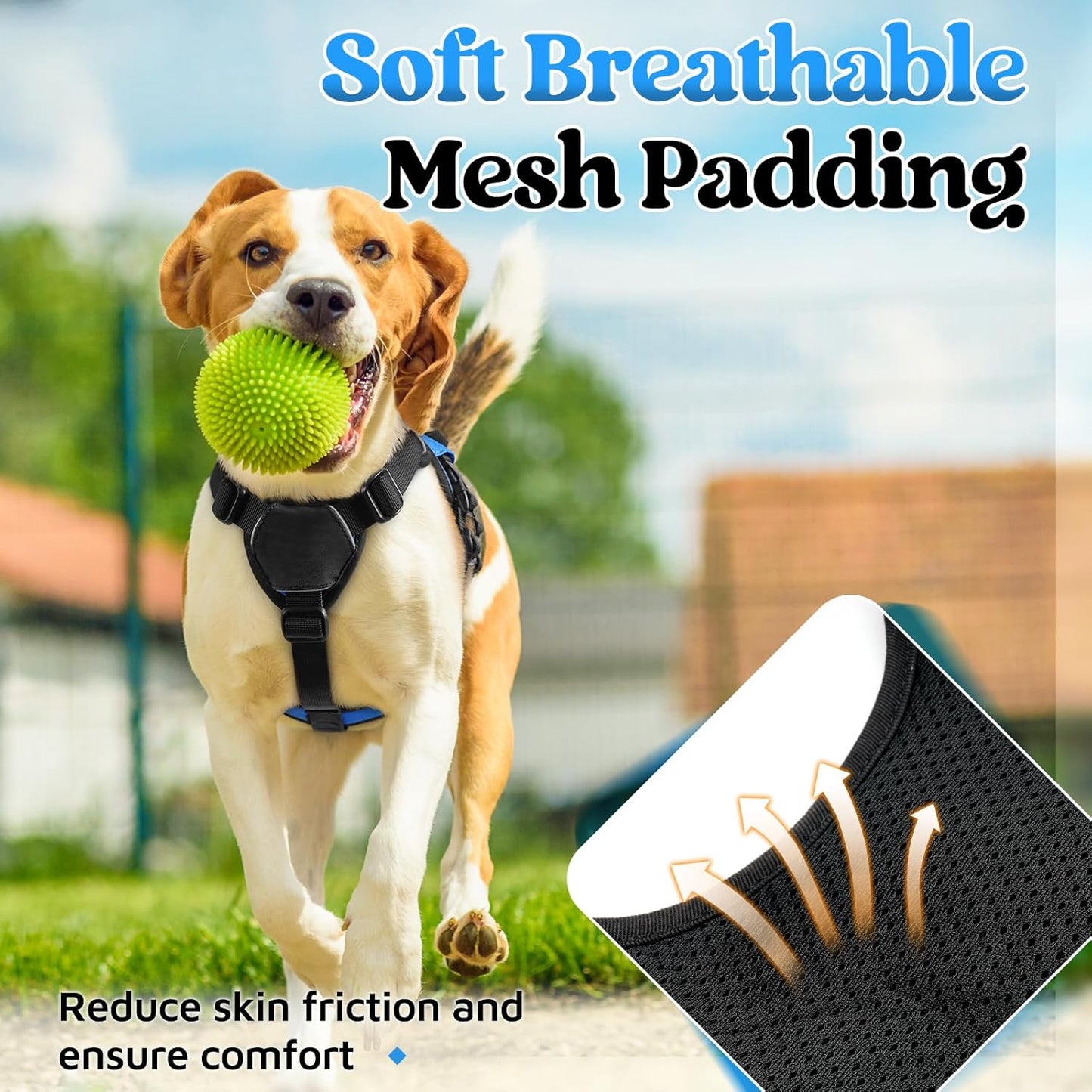 rabbitgoo Escape Proof Dog Harness, Soft Padded Full Body Pet Harness, Reflective Adjustable No Pull Vest with Lift Handle and Leash Clip for Large Dogs Walking Hiking Training, S, Blue