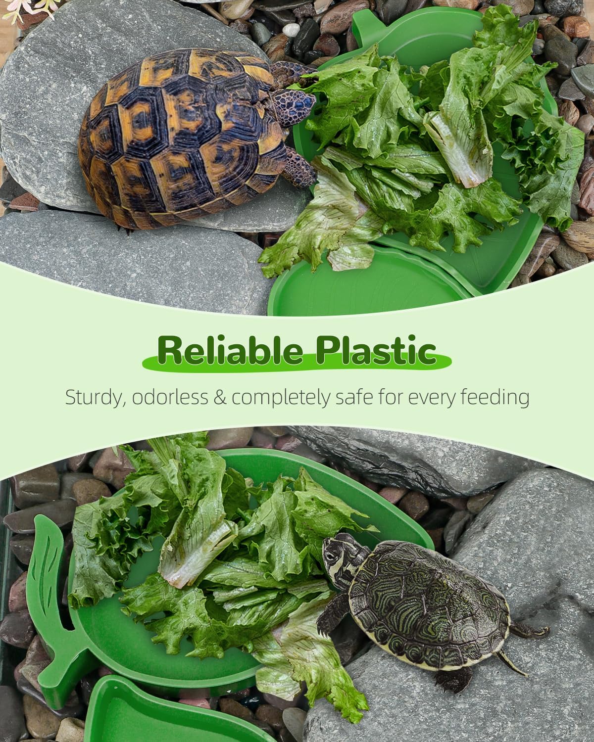 Pawfly 4 Pcs Reptile Water Bowl, Tortoise Water Dish, Food & Water Feeder, Cute Leaf & Mango Feeding Dish, Tortoise Habitat Accessories for Turtle, Gecko, Bearded Dragon & Lizard, 2 Styles