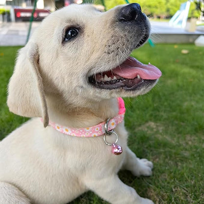 Pink Puppy Collar with Bell, Pretty Floral Daisy Girl Cat Collar Flower Tiny Dog Collars with Bells for XS Small Pet Female Dogs Kitten Little Animal, XSmall