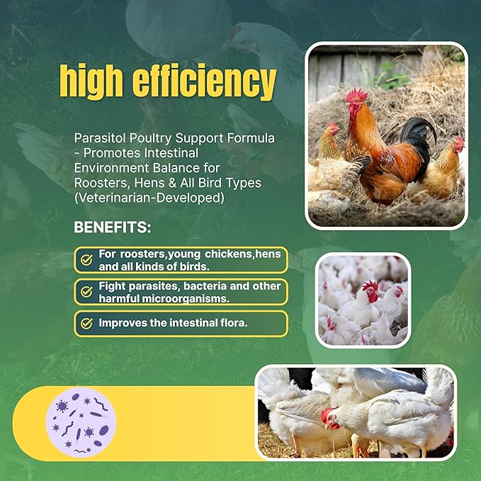 Natural Chicken Chili Mix DewoMax Powder - 1LB - Promotes Balanced Digestive Wellness - Dandelion, Black pepper, Garlic powder