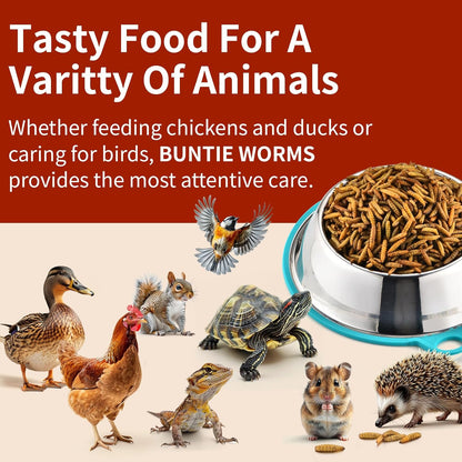 Dried Black Soldier Fly Larvae 5LB, High Protein Chicken Feed, 100% Natural Non-GMO – Treat for Chicken More Calcium Than Mealworms, Food for Laying Hen, Ducks, Wild Birds