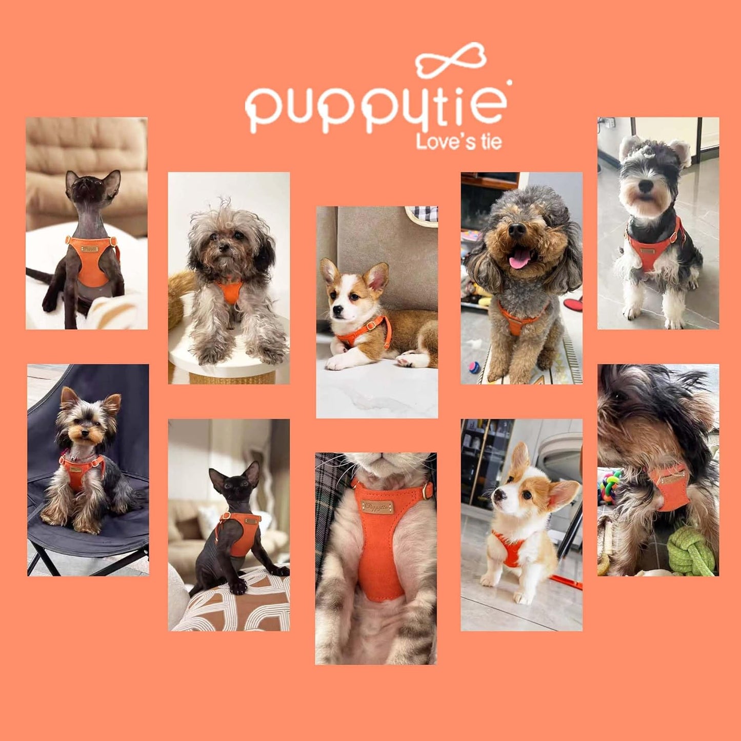 Puppytie No Pull xs Dog Harness with Multifunction Dog Leash,Soft Adjustable No Choke Escape Proof Pet Harness Vest,Orange,XS