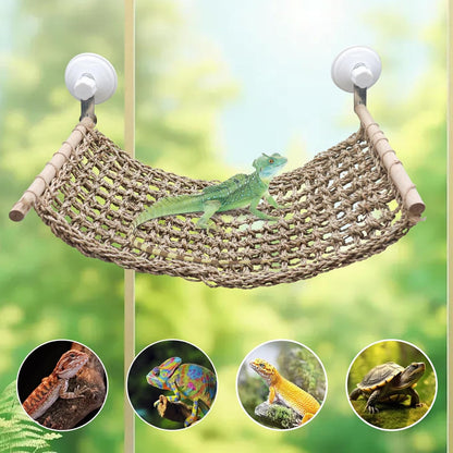 23 × 9 Inch Large Bearded Dragon Hammock, Reptile Window Bed, Seagrass Mat Window Perch Toy with Powerful Suction Cups, Climbing Accessories for Bird Parrot Lizard Leopard Gecko Guinea Pig Rat