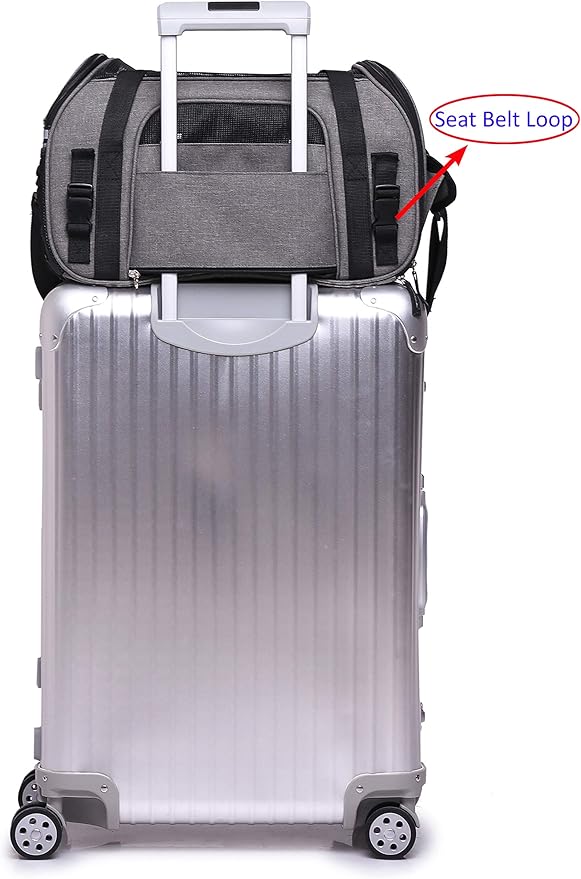 EliteField Soft Pet Carrier (3 Year Warranty, Airline Approved) Soft Sided Dog Puppy Cat Carrier Travel Bag (X-Large: 21" L x 12" W x 13" H, Charcoal Gray)