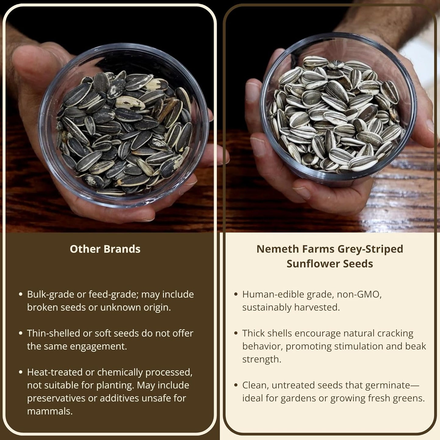 Nemeth Farms – 5 Lb Bag, Premium Large Gray Striped & Air Cleaned Sunflower Seeds, Natural Bird Food for Parrots, Cockatiels, Parakeets, Finches & Wild Birds, Non-GMO, Feeder-Ready & Plantable