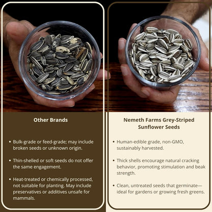 Nemeth Farms – 5 Lb Bag, Premium Large Gray Striped & Air Cleaned Sunflower Seeds, Natural Bird Food for Parrots, Cockatiels, Parakeets, Finches & Wild Birds, Non-GMO, Feeder-Ready & Plantable