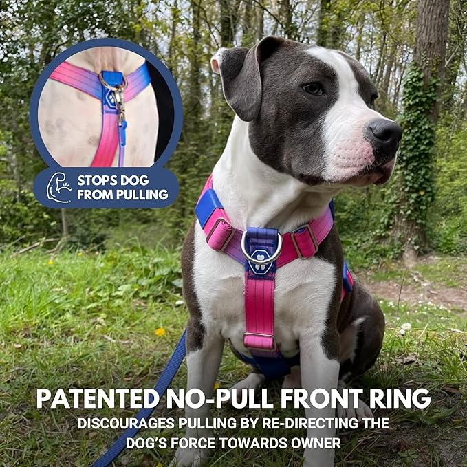 Spark Paws No Pull Dog Harness for Large Dogs, Heavy Duty Dog Harness for Big Strong Breeds, Adjustable, Y Shaped Padded Halter Design with Front Clip - Snow Cone - S