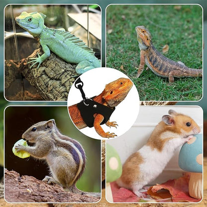 3Size Black Bearded Dragon Leash and Harness Set, Adjustable Bearded Dragon Harness with Lizard Traction Rope for Reptile, Lizard Leash/Squirrel Harness/Small Rabbit Traction Rope (S, M, L)