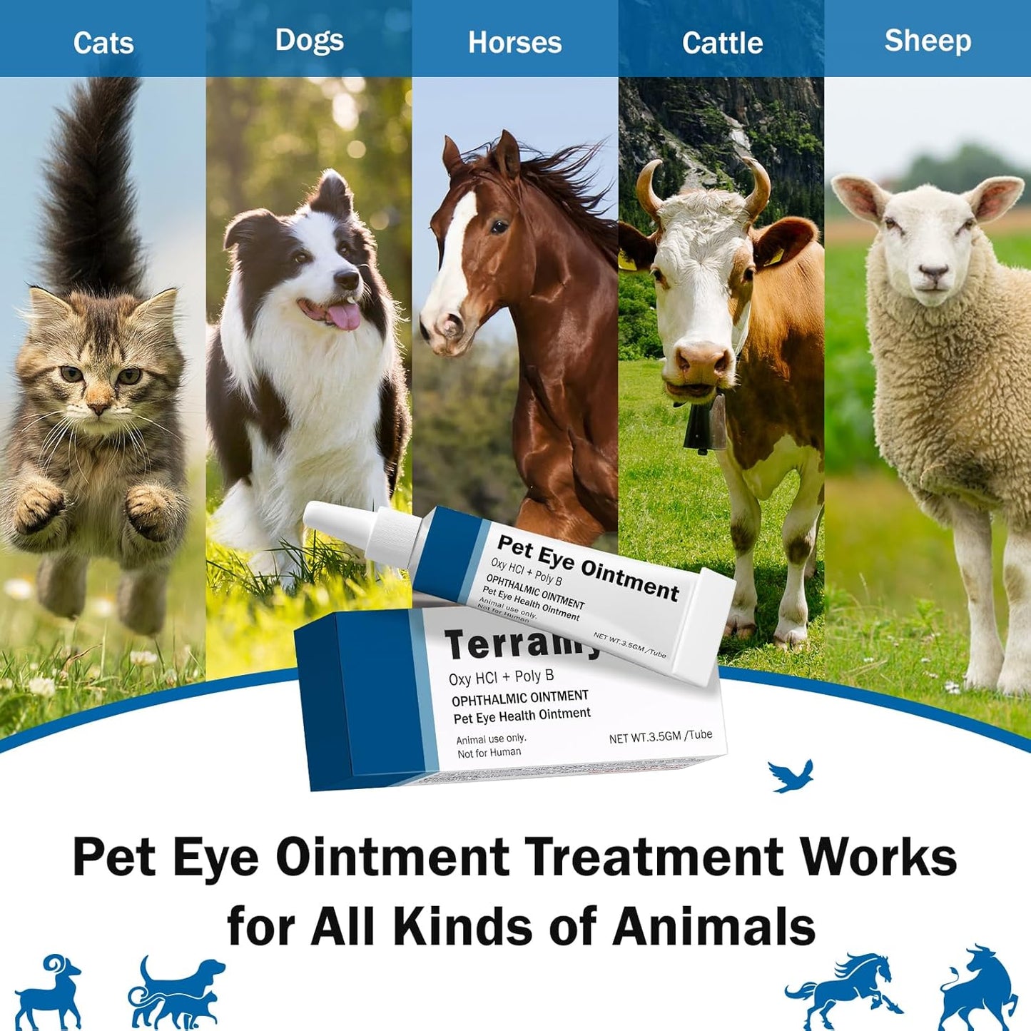 Pet Health Eye Ointment for Cats, Dogs, Cattle, Sheep, Horses, Birds and Puppies, Kitten - 1 Tube 3.5g(1/8oz)