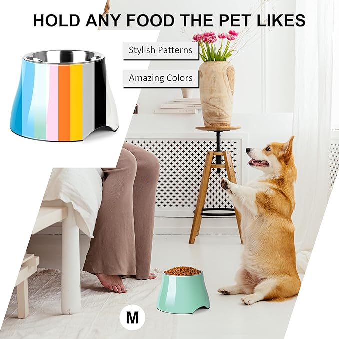 Dog Bowls,Cone Friendly Non Slip Single Dog Bowl with Stainless Steel Inner, Raised Bowls for Smll Dogs Spaniel Dogs Long Ear, High Capacity, M/2 Cup Mint Green