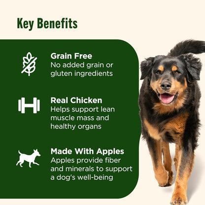 Nutrish Grain Free Real Chicken & Apple Recipe Premium Paté Wet Dog Food, 13 oz. Can, 12 Count, Packaging May Vary (Rachael Ray)