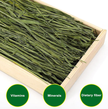 Premium Oat Hay for Pets - Dust Free Natural Green Fresh Pet Food Hay for Rabbits, Guinea Pigs, Chinchillas, Hamsters & Gerbils - 6.6 lbs